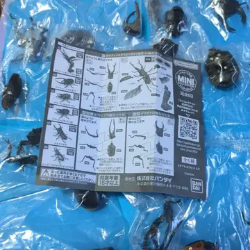 생물대도감 미니 컬렉션 곤충 03 (6종 풀세트)