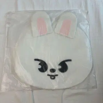 straykids 리노 Lee 비트 부채 케이스