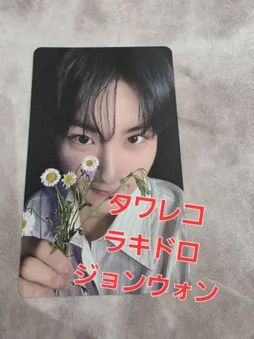 ENHYPEN 요이 타워 레코드 라키드로 정원