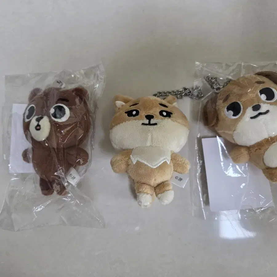 DAY6 ソンジン バッグチャーム DAY6 | 데이식스 DAY6 Japan Bag Charm Below Cost on Bunjang