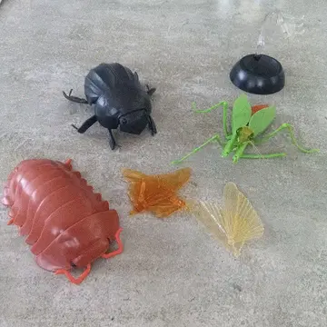가챠, 바퀴벌레, 사마귀