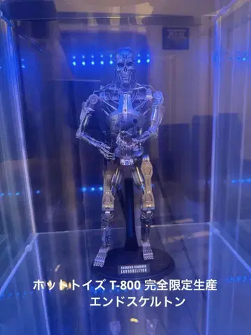 컨디션 최상 완전 한정품 핫토이즈 터미네이터 T-800 엔도스켈레톤