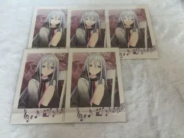 요이사키 카나데 파샤코레 5장