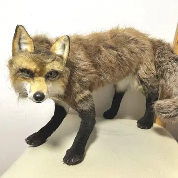 아트 인형 아카기츠네 여우 핸드메이드 해외 작가