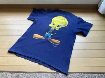 90년대 티티