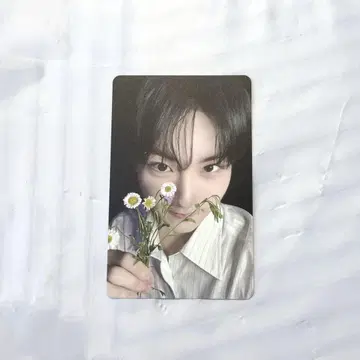 enhypen 정원 요 타워 레코드 라키드로