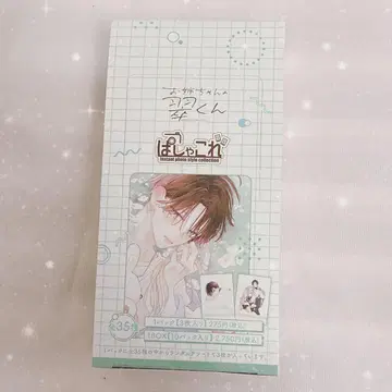 언니의 미도리 군 파샤코레 미개봉
