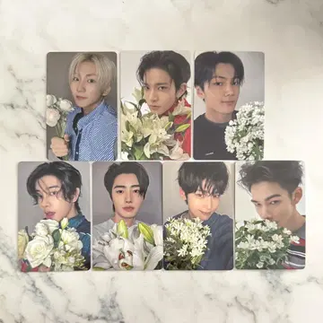 ENHYPEN 요이 YOI 7 형태 weverse 혜택 컴프 7장