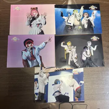 카라피치 파라다이스 2025