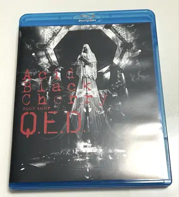 Acid Black Cherry/2009 투어 "Q.E.D."