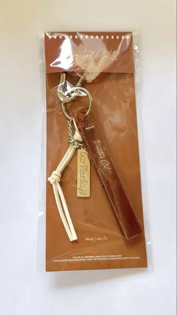 용화 CARABINER KEYRING 키링