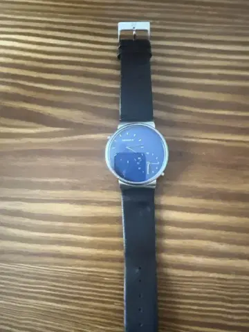 SKAGEN SKW6191