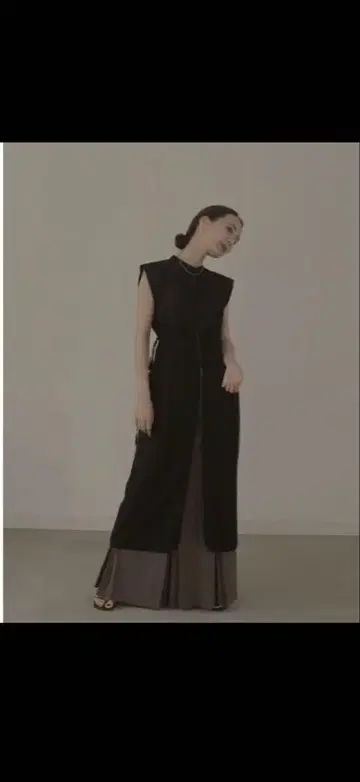 louren organdy china dress