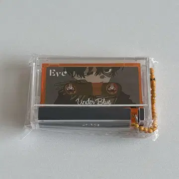 Eve 복권 뮤직 키링 orange