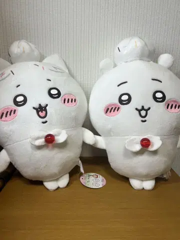 치이카와 생일 BIG 봉제 인형 치이카와 하치와레 2종 세트