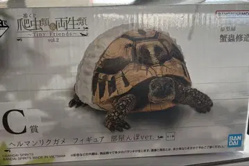 제일복권 파충류&양서류 vol.2 헬만리쿠가메 방 캬레 C상