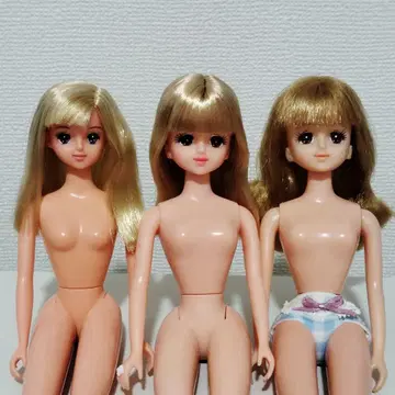 제니 3개 묶음 판매, 낱개 판매도 가능