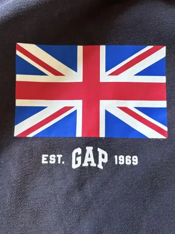 GAP 후드티