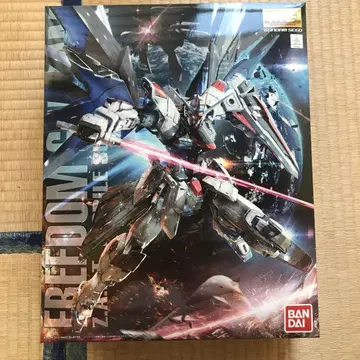 MG 1/100 프리덤 건담