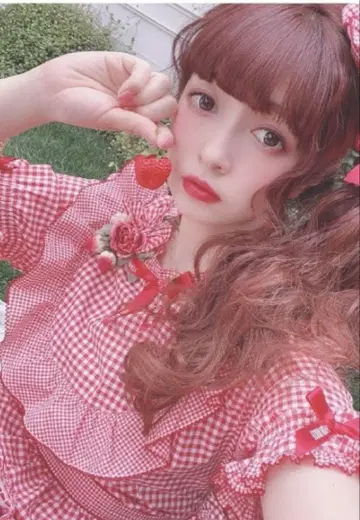 핑크하우스 PINK HOUSE 깅엄 체크 원피스 아오키 미사코