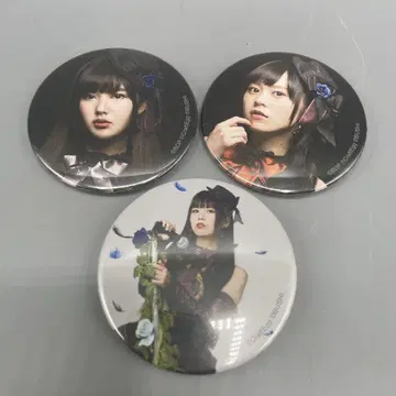 3개 세트 뱅드림 Roselia 아티스트 캔뱃지
