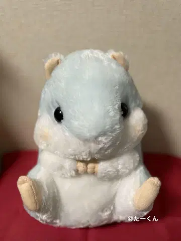 코로하무카론 컬러풀 햄스터 봉제 인형