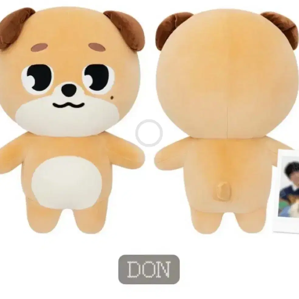 DON ドウン DAY6 プチマルズ デニマルズ jp.ktown4u.com : K-POP Global On-Onffline Platform