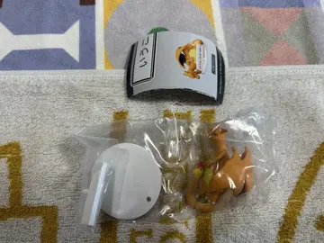 말 안 듣는 리자몽!