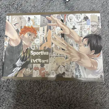 새상품 Sportiva 하이큐 애니메이트 한정판 혜택 비주얼 보드