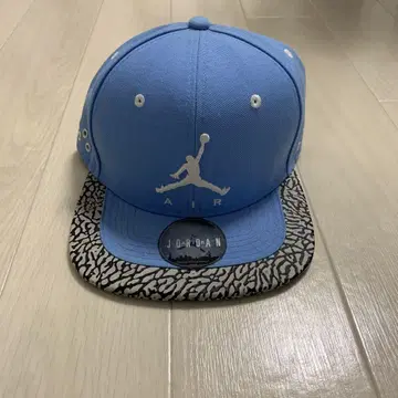Air Jordan 스카이블루 캡 엘리펀트 프린트