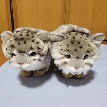 우에노 동물원 마눌고양이 봉제 인형 (대)와 (소) 세트