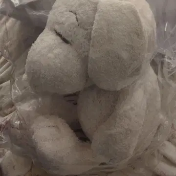 젤라또피케 스누피 봉제 인형