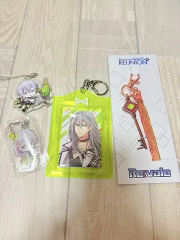 아이나나 Re:vale Re:flect U 카드 홀더 등