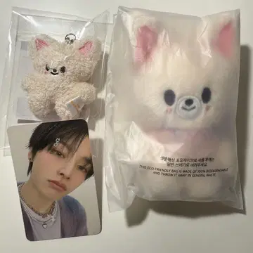 5clock skzoo 폭시니 10cm 마이크로 트레이딩 카드 아이엔