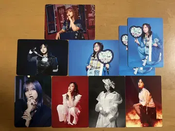 여왕벌 야시쨩 봉희왕