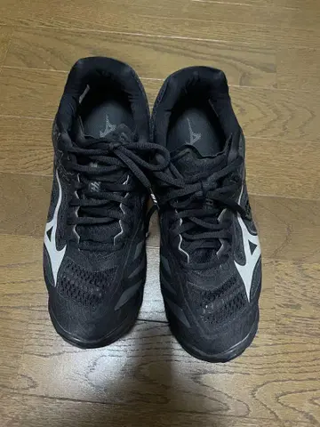 Mizuno 배구화 기념 모델 덤 포함