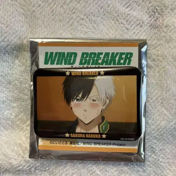 WIND BREAKER 벚꽃 하야 베스트 샷 캔뱃지