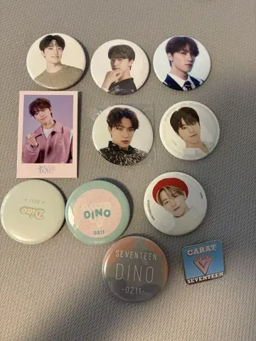 SEVENTEEN DINO 캔뱃지 세트