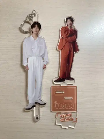 너의 꽃이 되다 히야마 류세이 세트