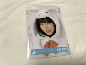 히나타자카46 오노 마나미 인형옷 브로마이드
