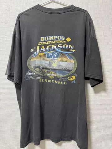 Harley-Davidson T셔츠 페이드 할리 T