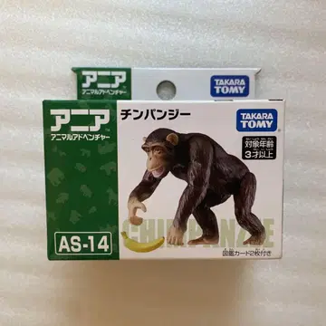 아니아 침팬지 1개