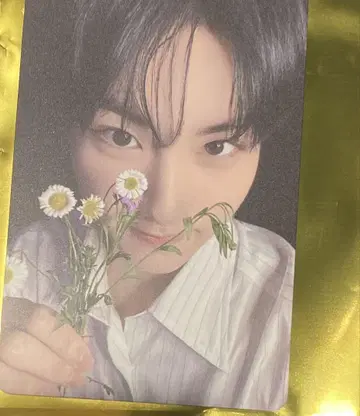 ENHYPEN 요이 타워 레코드 라키드로 정원