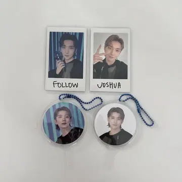 SEVENTEEN 조슈아 팔로우 인스턴트 사진 미니 피켓