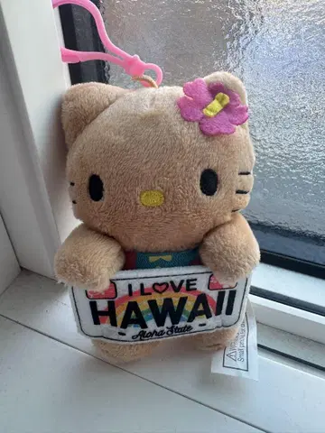 Hawaii 키티 미사용 새상품