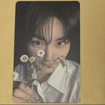 ENHYPEN 정원 라키드로 요이 트레이딩 카드 타와레