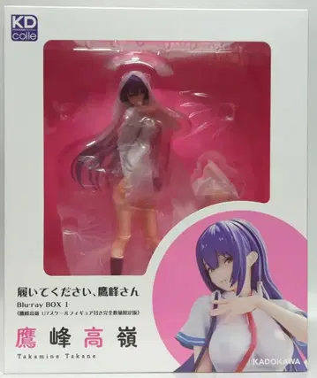 KADOKAWA 타카미네 타카네 PVC