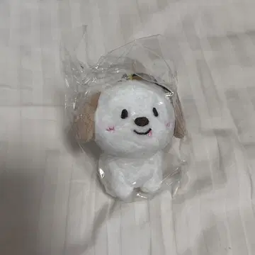 RIIZE 앤톤 봉제 인형 몽리온이 8cm