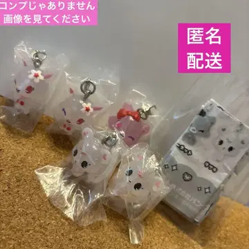 주얼 펫 메지루시 액세서리 5종 세트