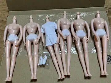 리카짱 캐슬 22cm 바디 6개
